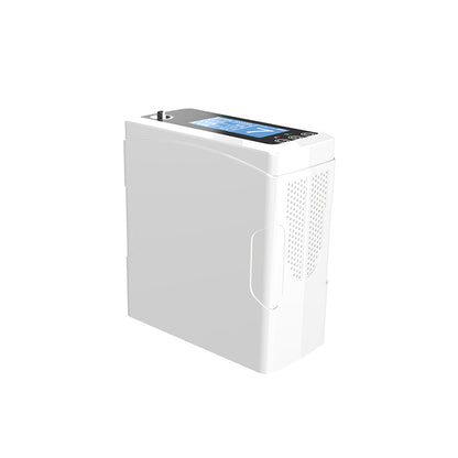 1-8L Pulse Dose & Continuous Flow Oxygen Concentrator —— CHO-06